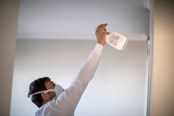 Best Black Mold Removal  in Nanakuli, HI
