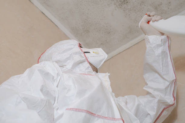 Best Emergency Mold Removal  in Nanakuli, HI