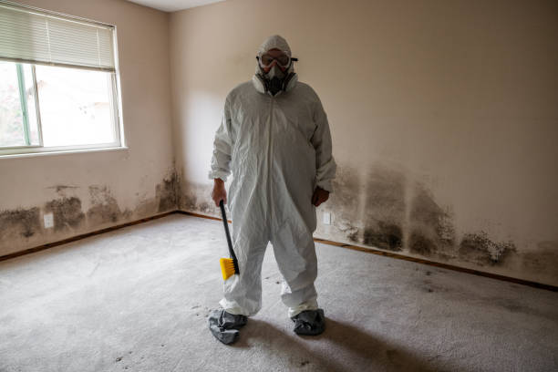 Best Local Mold Removal Service  in Nanakuli, HI